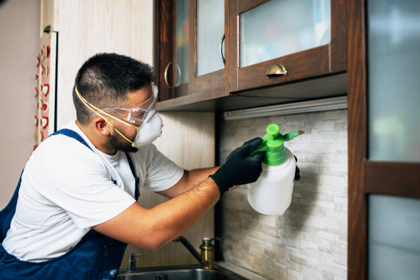 Best Affordable Pest Control Services  in Wooster, OH