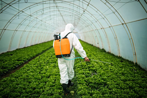 Professional Pest Control in Wooster, OH