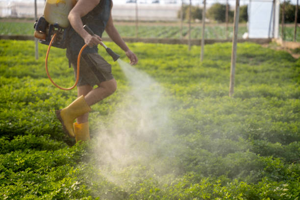 Best Best Pest Control Companies  in Wooster, OH