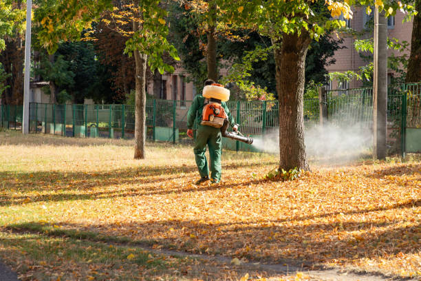 Best Cockroach Control Services  in Wooster, OH