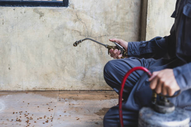 Pest Prevention Services in Wooster, OH