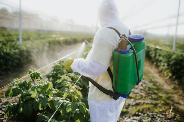 Best Pest Control Near Me  in Wooster, OH
